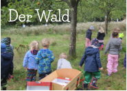 Der Wald