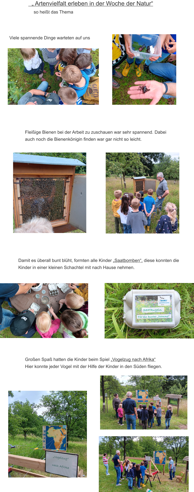 „ Artenvielfalt erleben in der Woche der Natur“            so heißt das Thema Fleißige Bienen bei der Arbeit zu zuschauen war sehr spannend. Dabei auch noch die Bienenkönigin finden war gar nicht so leicht.  Viele spannende Dinge warteten auf uns Damit es überall bunt blüht, formten alle Kinder „Saatbomben“, diese konnten die Kinder in einer kleinen Schachtel mit nach Hause nehmen. Großen Spaß hatten die Kinder beim Spiel „Vogelzug nach Afrika“ Hier konnte jeder Vogel mit der Hilfe der Kinder in den Süden fliegen.